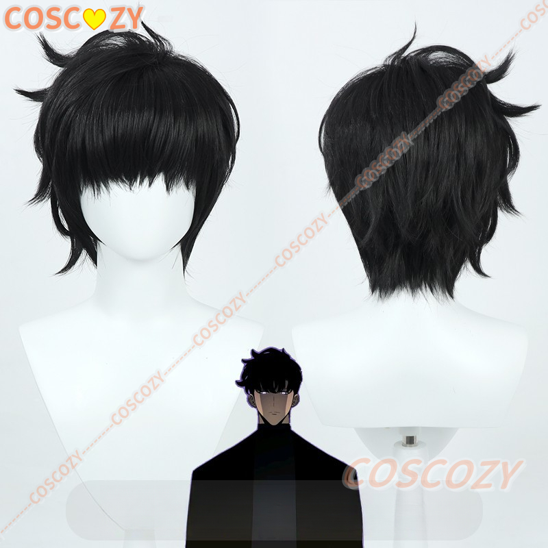 Sung Jinwoo Cosplay Wig from A - Cosplay Anime Solo review and price