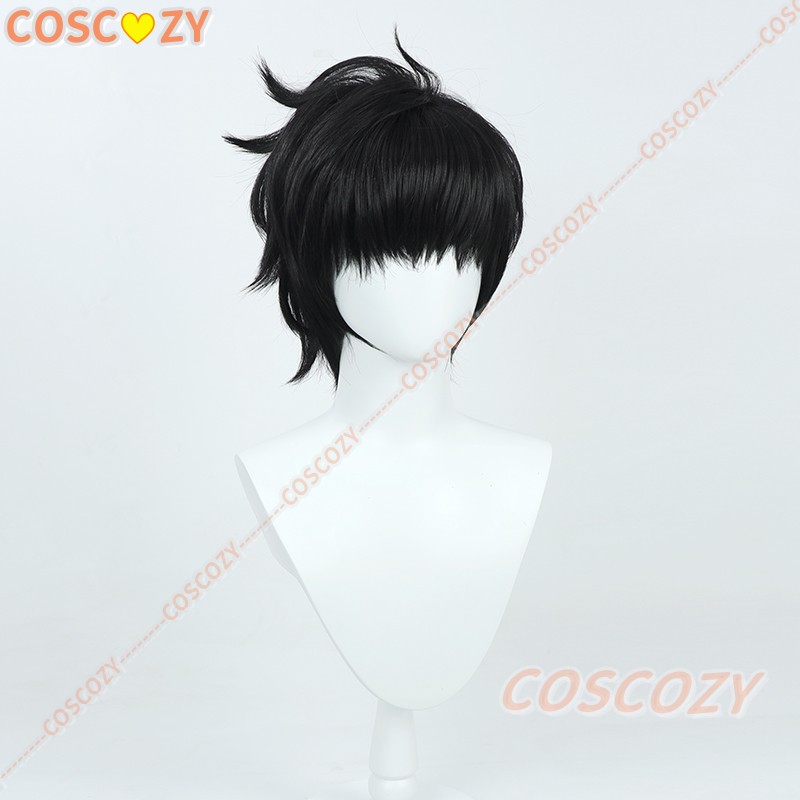 Sung Jinwoo Cosplay Wig from A - Cosplay Anime Solo review and price
